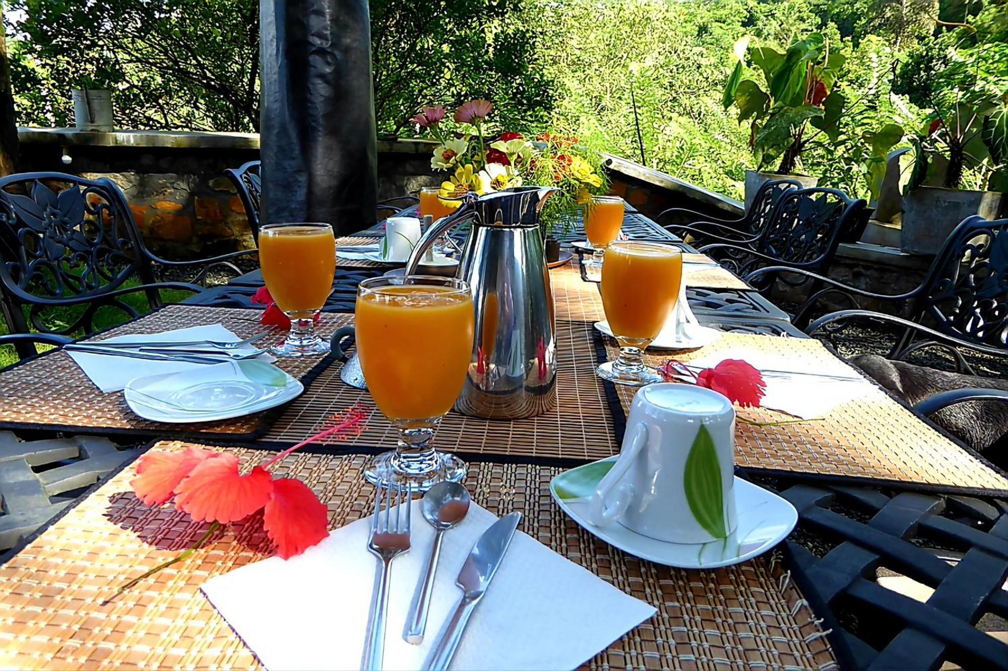 Singharaja Garden Agro Eco Lodge Pelawatta  Exterior foto