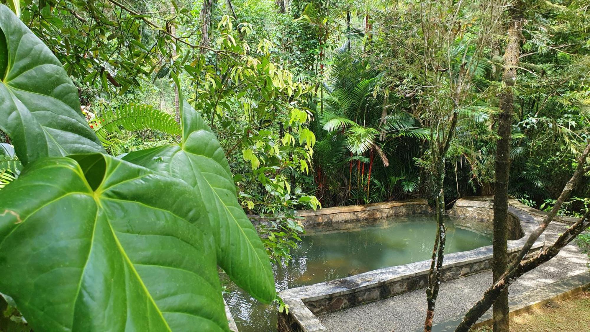 Singharaja Garden Agro Eco Lodge Pelawatta  Habitación foto
